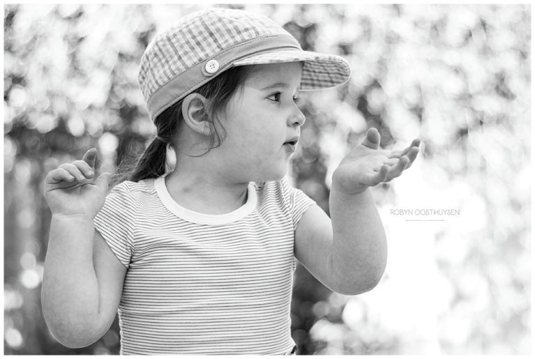 Design Ardour | Art & Design by Robyn Oosthuysen | Images | black and white | schnauzer