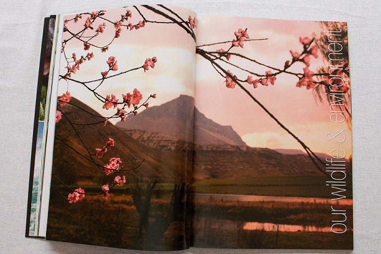 Robyn_Oosthuysen_Publishing-98