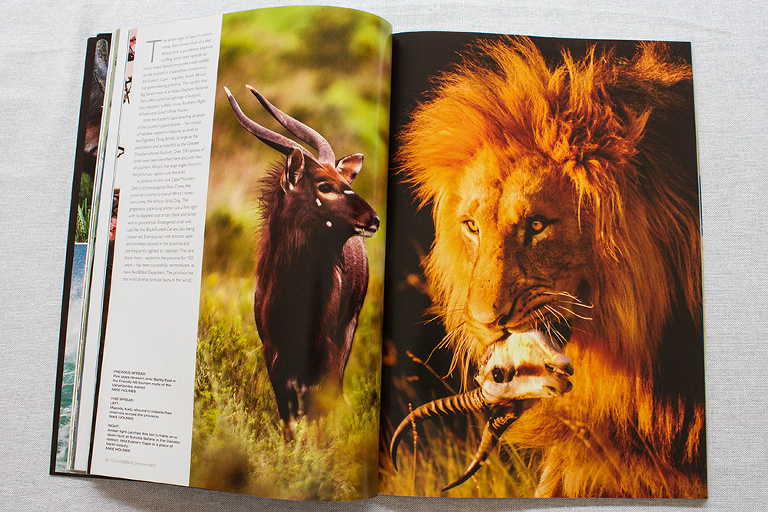 Robyn_Oosthuysen_Publishing-99