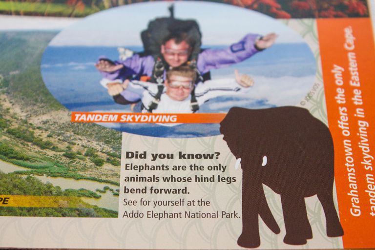 Robyn_Oosthuysen_Publishing-86