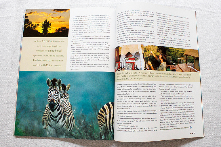 Robyn_Oosthuysen_Publishing-124