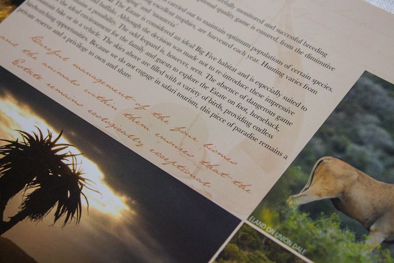 Robyn_Oosthuysen_Publishing-31