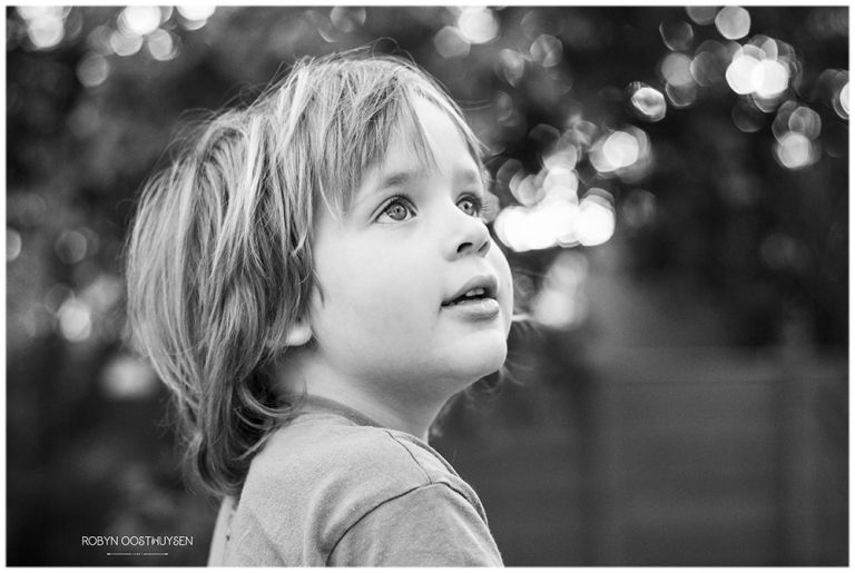 Design Ardour | Art & Design by Robyn Oosthuysen | Images | Photography