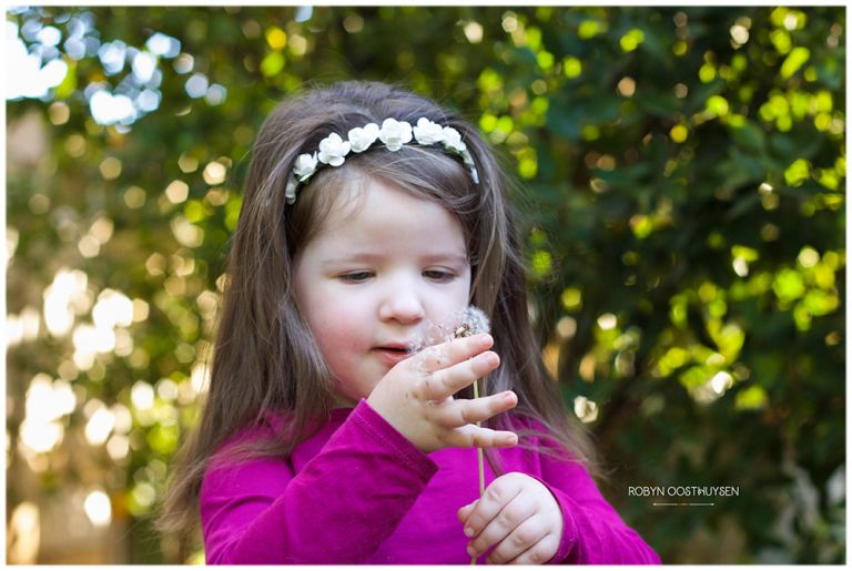 Design Ardour | Art & Design by Robyn Oosthuysen | Images | Photography