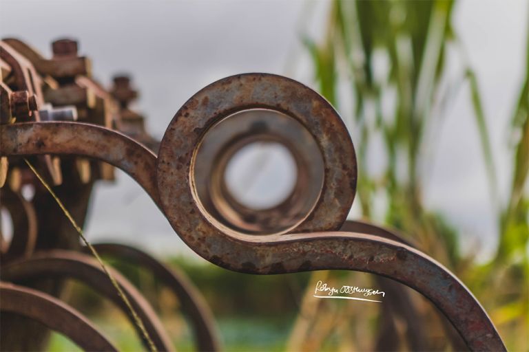 Design-Ardour-Art-and-Design-Robyn-Oosthysen-Grahamstown-Photography_Family2015-10