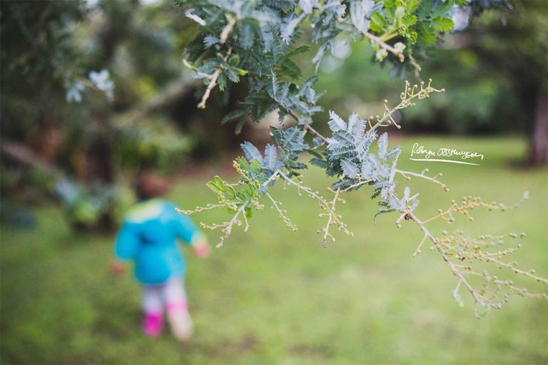 Design-Ardour-Art-and-Design-Robyn-Oosthysen-Grahamstown-Photography_Williams-party-13