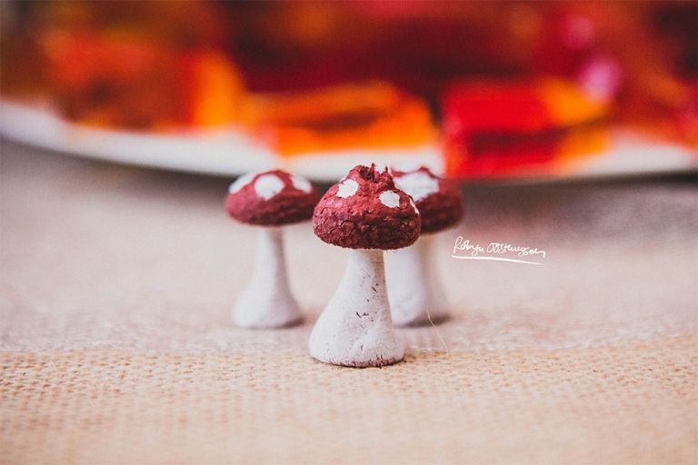 Design-Ardour-Art-and-Design-Robyn-Oosthysen-Grahamstown-Photography_Williams-party-17