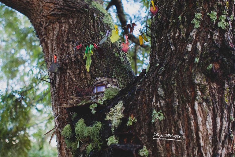 Design-Ardour-Art-and-Design-Robyn-Oosthysen-Grahamstown-Photography_Williams-party-43