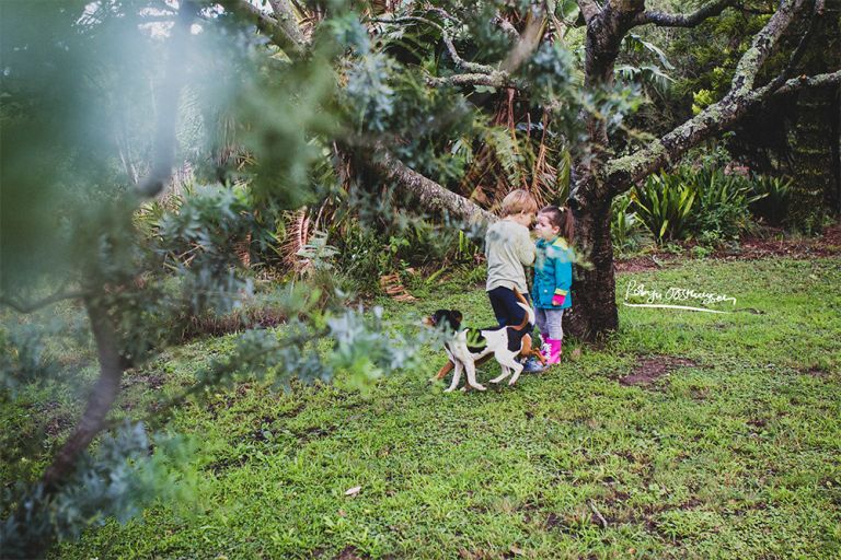 Design-Ardour-Art-and-Design-Robyn-Oosthysen-Grahamstown-Photography_Williams-party-9