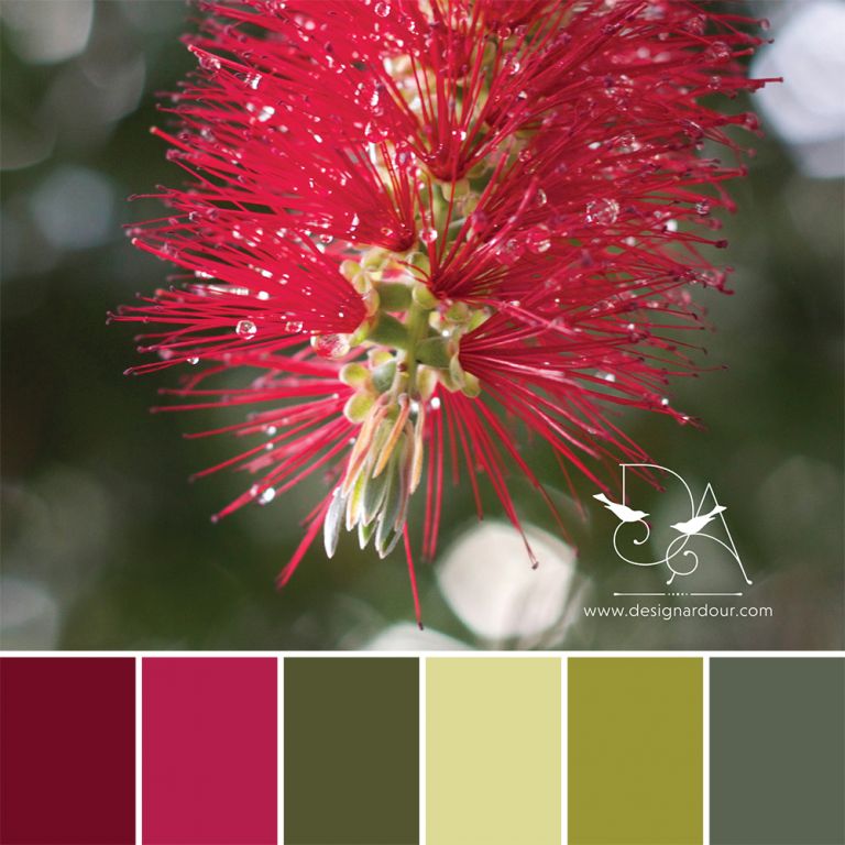 www.designardour.com // Robyn Oosthuysen Images // #ColourLife