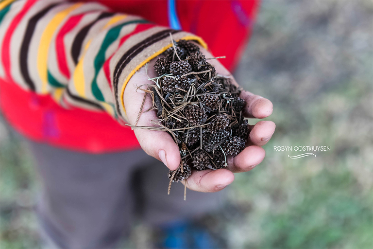 Robyn-Oosthysen-Photography_Miles-Family-20150530-6