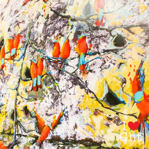 Robyn-Oosthuysen_Highlander-9