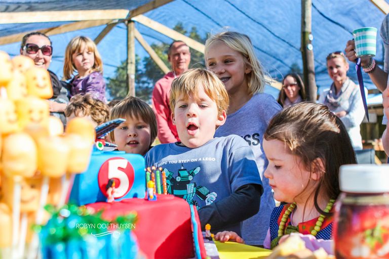 Robyn-Oosthysen_LegoParty-13