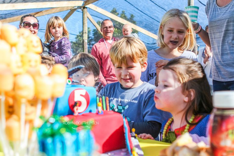 Robyn-Oosthysen_LegoParty-16