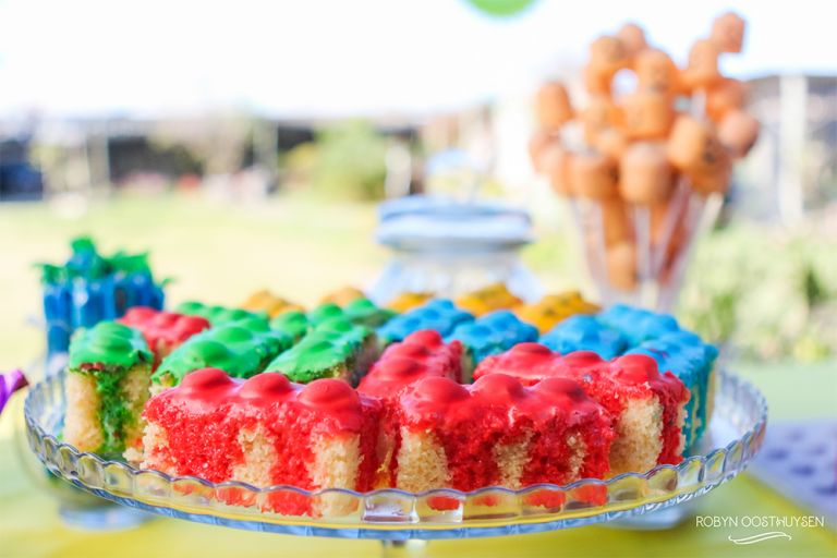 Robyn-Oosthysen_LegoParty-7