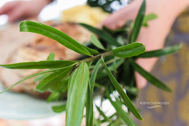 Robyn-Oosthysen_MuddyLaneCeramics-31