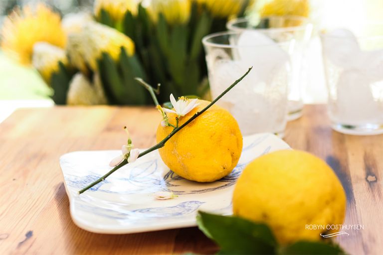 Robyn-Oosthysen_MuddyLaneCeramics-7