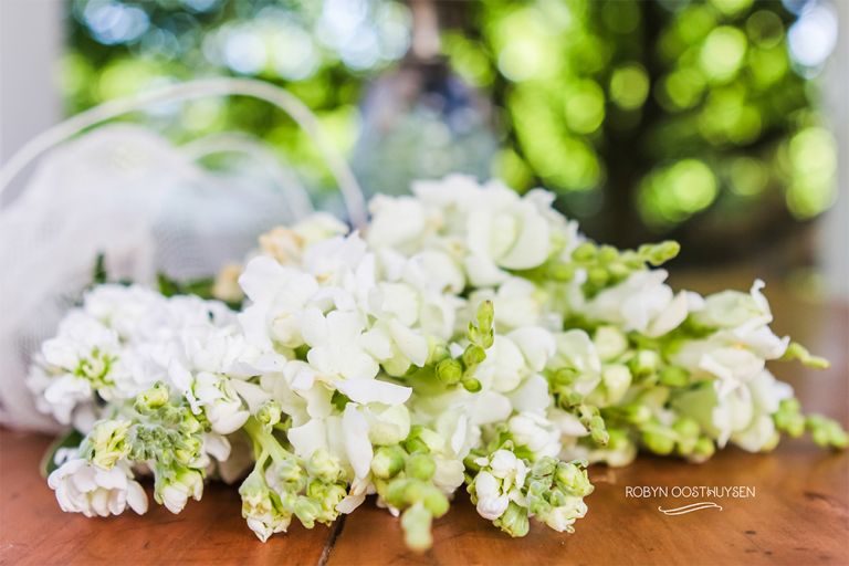 Robyn Oosthuysen, Photography, Grahamstown South Africa, Eastern Cape, Flowers, #freshflowers #flowercrowns www.designardour.com