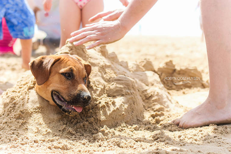 RobynOosthysen_Kleinemonde2015-2016-90