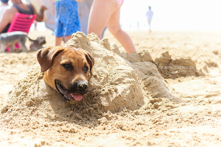 RobynOosthysen_Kleinemonde2015-2016-91