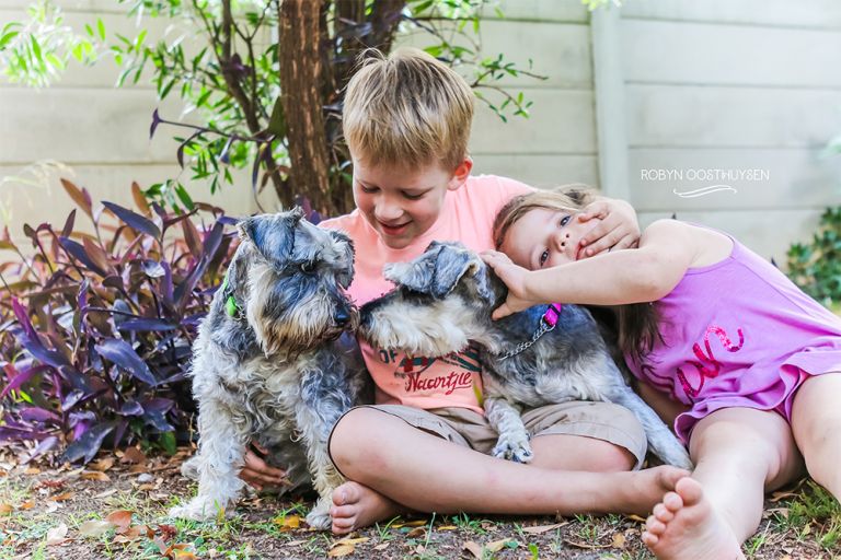 RobynOosthysen_Schnauzer-9