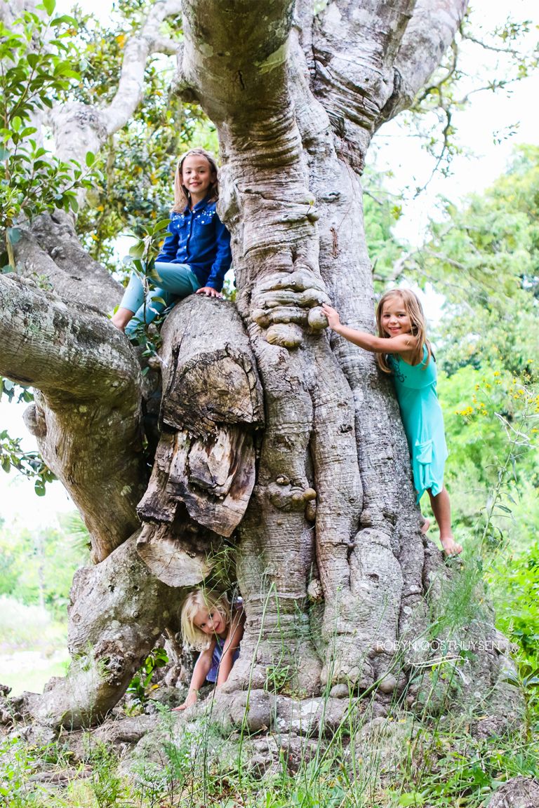 Robyn Oosthuysen // Design Ardour // Art, Design & Images // Photography // Grahamstown, South Africa