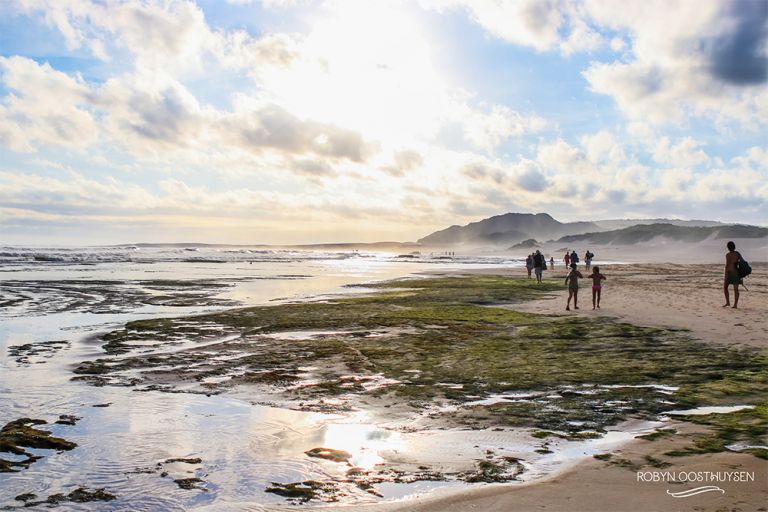 Robyn Oosthuysen // Design Ardour // Photography, Grahamstown, South Africa // www.designardour.com