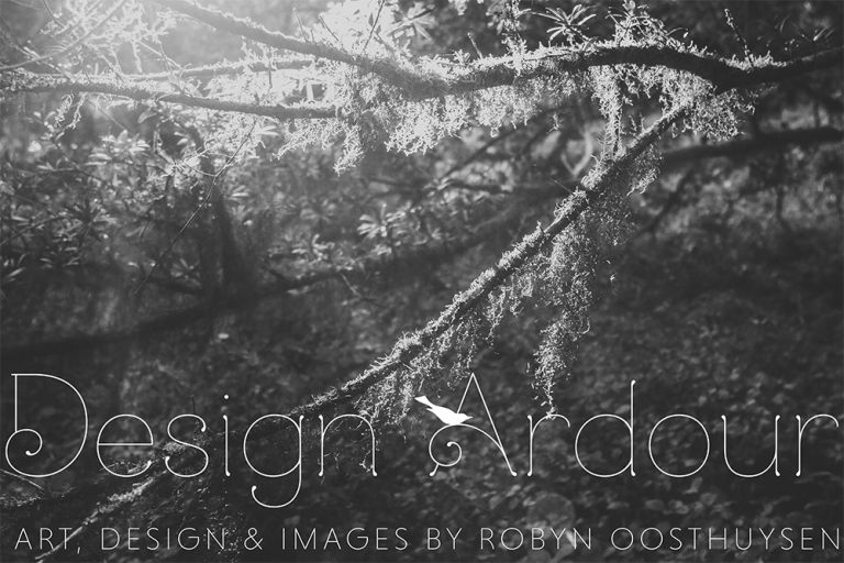 Robyn Oosthuysen // Design Ardour // Photographer // Grahamstown, Eastern Cape, South Africa // www.designardour.com
