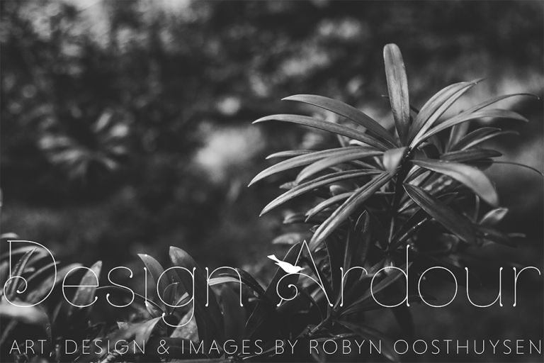 Robyn Oosthuysen // Design Ardour // Photographer // Grahamstown, Eastern Cape, South Africa // www.designardour.com