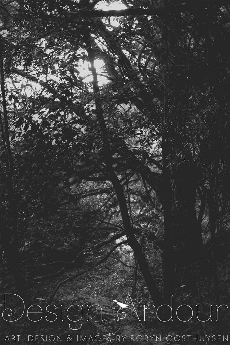 Robyn Oosthuysen // Design Ardour // Photographer // Grahamstown, Eastern Cape, South Africa // www.designardour.com