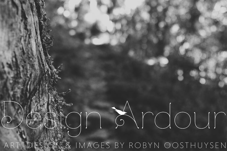 Robyn Oosthuysen // Design Ardour // Photographer // Grahamstown, Eastern Cape, South Africa // www.designardour.com