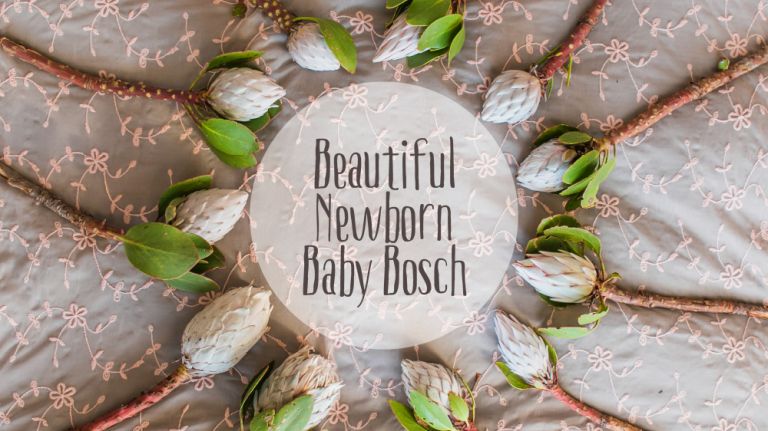 RobynOosthysen_BoschBaby_20160409-1