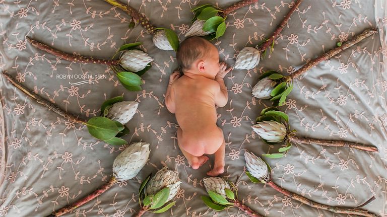 RobynOosthysen_BoschBaby_20160409-3