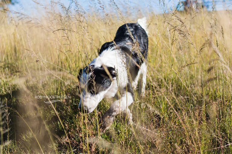 RobynOosthysen_FletcherFamily20160428-10