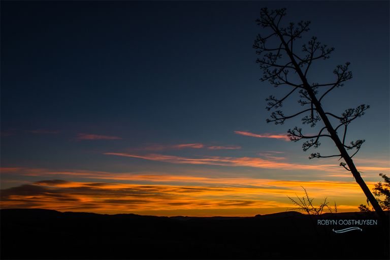 RobynOosthysen_FletcherFamily20160428-43