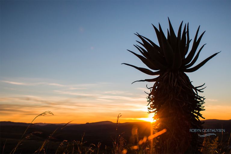 RobynOosthysen_FletcherFamily20160428-44