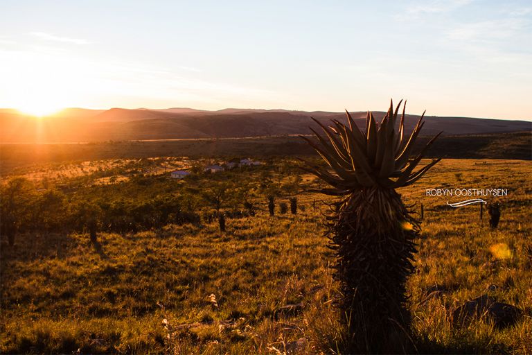 RobynOosthysen_FletcherFamily20160428-45