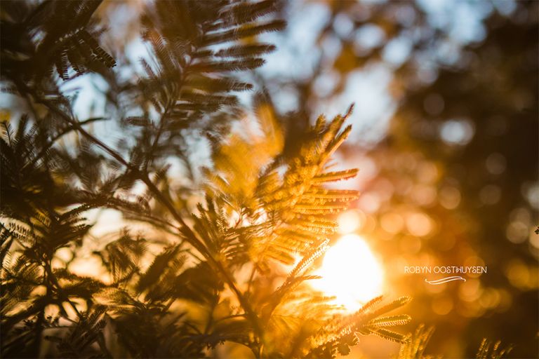 RobynOosthysen_FletcherFamily20160428-46