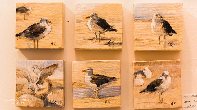 RobynOosthysen_CarrinusOpening-8