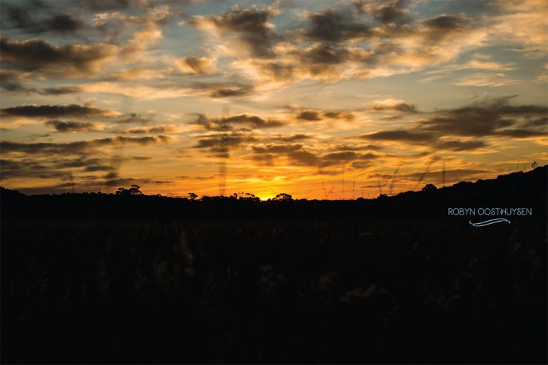 RobynOosthysen_GrandparentsShoot_20160522-48