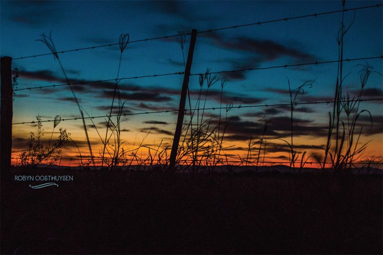 RobynOosthysen_GrandparentsShoot_20160522-51