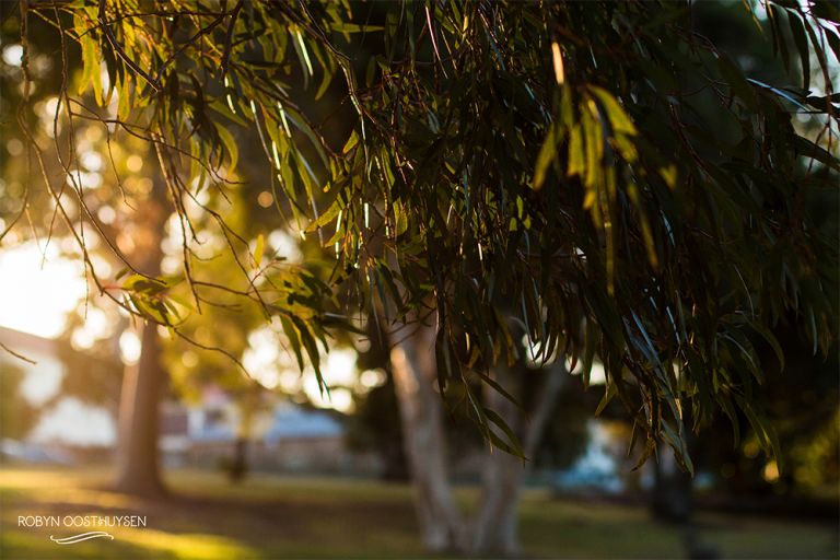 RobynOosthysen_Donné&Anna_20160706-31