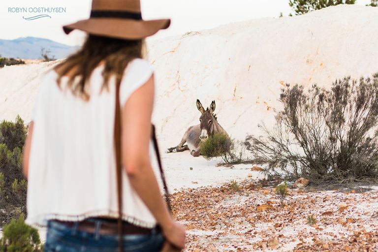 RobynOosthysen_Judith20160830-13